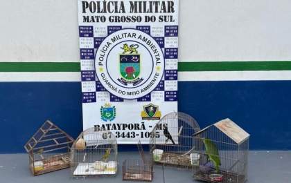 Homem é preso por manter aves em cativeiro em Nova Andradina