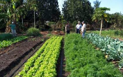 Vitrine Tecnológica em Horticultura inaugura com entrada gratuita em Três Lagoas