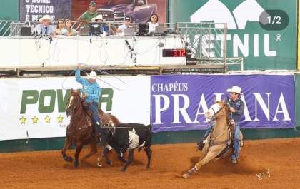 Provas equestres encerram eventos agro da Expô