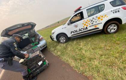 Polícia Militar Rodoviária realiza prisão por tráfico de drogas e captura de procurado pela justiça