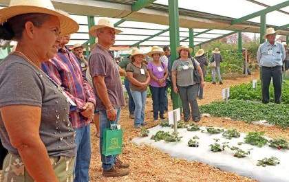 Vitrine Tecnológica inaugura e proporciona novos métodos para produção de hortifrútis