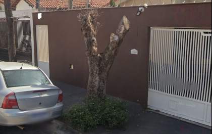 Guarda apreende motosserras usadas para cortar tronco de árvore no Paraíso