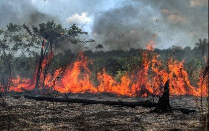 Produtor é multado em R$ 10 mil por queima ilegal para plantio em Dourados