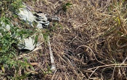 Ossada humana é encontrada em fazenda de Pereira Barreto