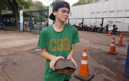 Jovem 'ajuda' cágado atravessar a rua Baguaçu em meio ao trânsito