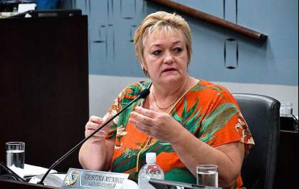 Câmara discute projeto que regulariza venda de cães e gatos em Araçatuba