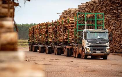 Em abril, exportações de produtos de madeira brasileira cresceu em 22%
