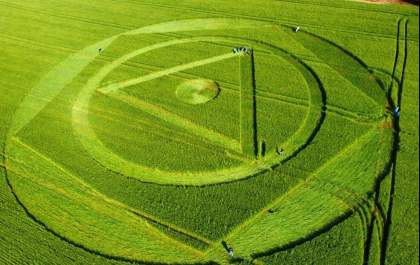 Agroglifo aparece em plantação de trigo em SC: 'Negócios misteriosos', diz proprietário