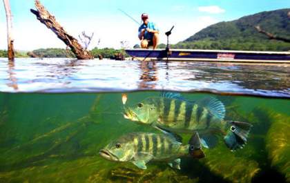 Etapa de torneio de pesca esportiva acontece no próximo dia 15 em Araçatuba