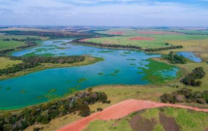 Baguaçu demanda 4 milhões de mudas de árvores para repor a cobertura vegetal