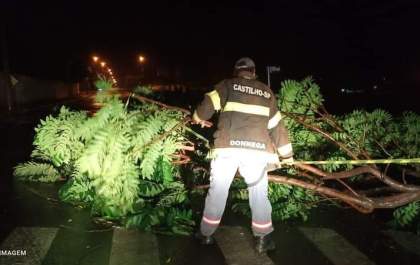 Brigada de Castilho trabalha durante vendaval