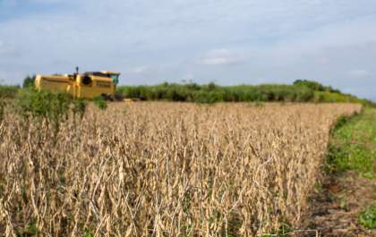 Brasil pode produzir mais soja sem desmatar a floresta amazônica