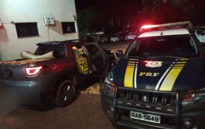 PRF apreende mais de uma tonelada de maconha no MS
