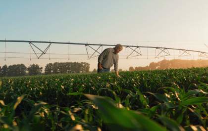 Crédito Rural: Sicredi bate recorde e libera R$ 17,6 bi para custeio nos primeiros três meses da safra 2022/2023