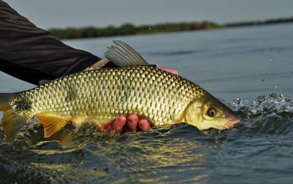 TL receberá curso gratuito de Formação de Condutores de Pesca Esportiva