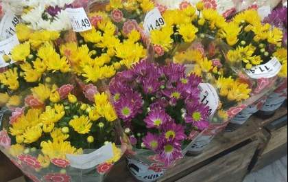 Dia de Finados movimenta venda de flores em supermercados