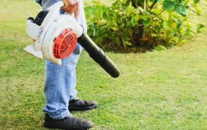 Soprador de folhas evita fungos, insetos e outras pragas no jardim