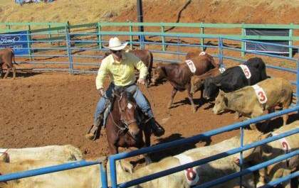 2º Campeonato de Ranch Sorting agita Três Lagoas nesta sexta e sábado
