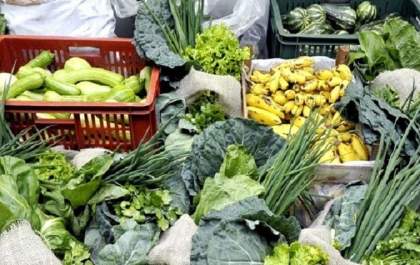 Governo destinou mais de R$ 9 milhões para criação de 17 centros de comercialização da agricultura familiar