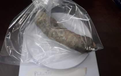 Mulher é presa no presidio de Andradina com maconha no ânus
