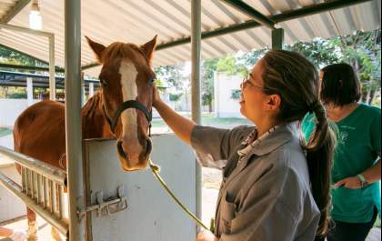 Formação humanizada em Medicina Veterinária do Unisalesiano garante vagas no mercado
