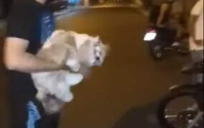 Filha e esposa de tutor que teve cão esquecido trancado em pet shop em Birigui também deverão ser indenizadas