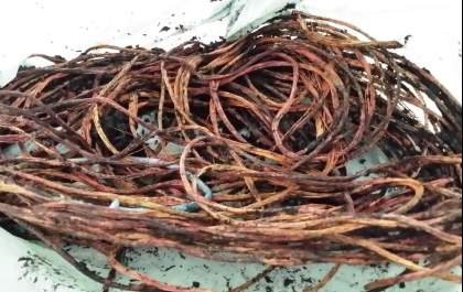 Polícia Civil apreende cerca de 40 quilos de fios de cobre em ferro-velho