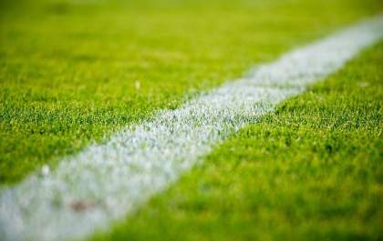 Palmeiras quer manter a base vencedora