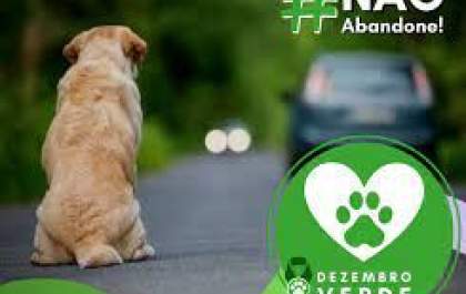 Governo de Andradina desenvolve ações contra maus tratos e abandono a animais