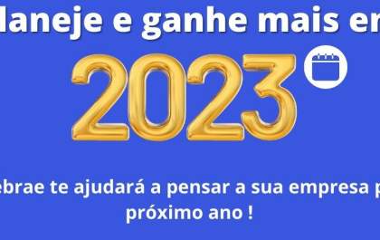 Planejamento para 2023 é tema de curso do Sebrae Araçatuba