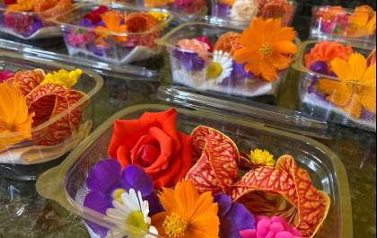 Pesquisa aponta tendências no consumo de flores comestíveis&nbsp;