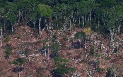 Sede da Funai em Brasília é alvo de operação da PF contra desmatamento e grilagem em terra indígena