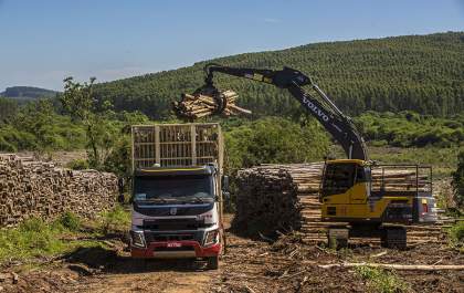 Balança One Timber, integração e transparência