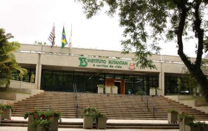 Vacina contra a dengue do Butantan atinge eficácia de 79,6%