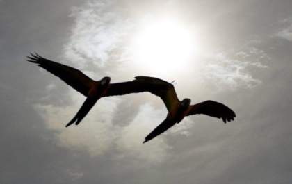 Nebulosidade, chuva e temperaturas abaixo de 30°C estão na previsão deste domingo