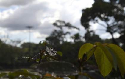 Chuvas diminuem em grande parte de Mato Grosso do Sul nesta quinta-feira