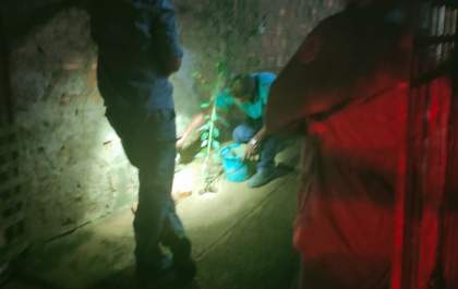 Bombeiros tentam capturar cobra no Santo Antônio