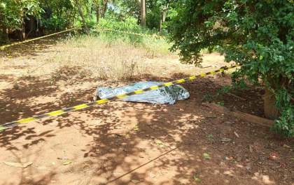 Funcionário da Prefeitura assume ter matado homem a pauladas em Brejo Alegre