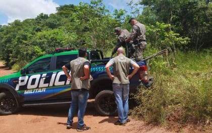 Morre Tamanduá Bandeira resgatado após ficar preso em armadilha na Cascalheira