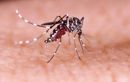 Saúde de Três Lagoas contabiliza 36 casos suspeitos de dengue nesta semana