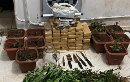 Trio que plantava maconha é preso em Três Lagoas