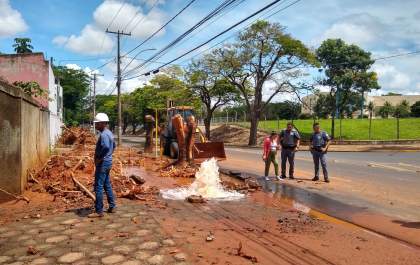 Remoção de árvore rompe adutora e suspende abastecimento de água na zona leste