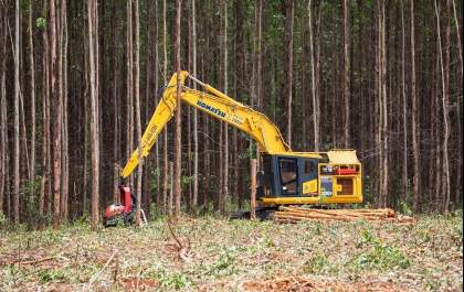 Apoiada em tecnologias de ponta, carreira na área florestal da Suzano se destaca por oportunidades de crescimento