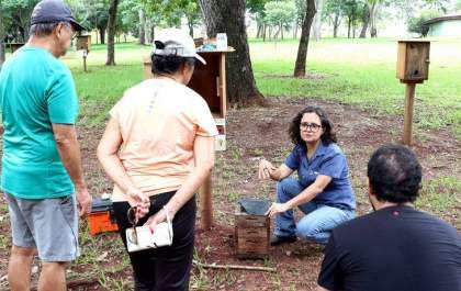 Visita guiada a abrigo de abelhas no Parque das Nações será na terça-feira