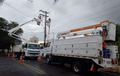 Temporal provoca queda de árvores e interrupção no fornecimento de energia