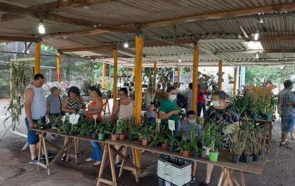 Araçatuba recebe feira de orquídeas nesta semana
