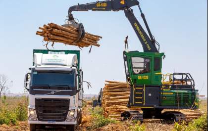 Eldorado Brasil é destaque na geração de emprego em Mato Grosso do Sul