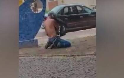 Idoso levou mais de 500 picadas em ataque de abelhas no Santa Luzia