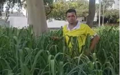 Mato alto em praça de Birigui vira palco de 'brincadeira' para vereadores