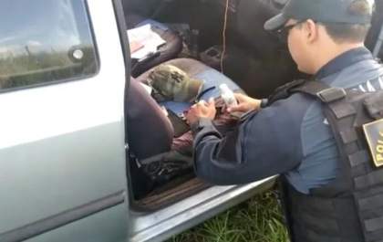 Polícia Militar Rodoviária prende homem por tráfico de drogas em Inocência